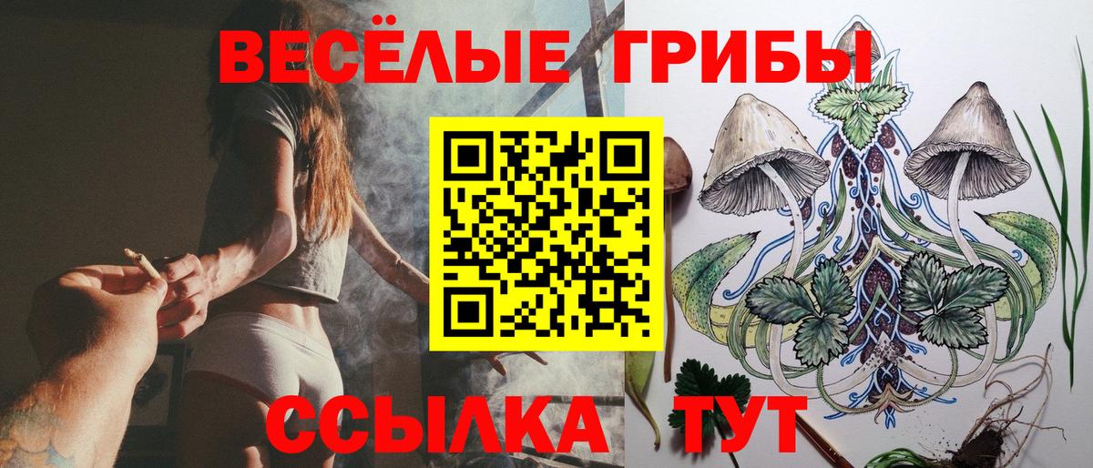 Аргун  Галлюциногенные грибы GOLDEN TEACHER  Вход с VPN 